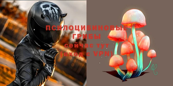 твердый Елабуга