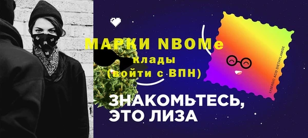 дурь Бородино