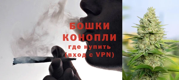 дурь Бронницы