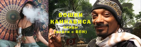 дурь Бородино