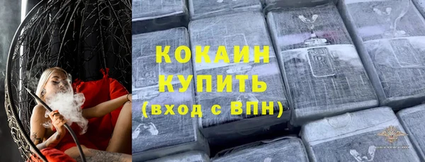 СК Елизово
