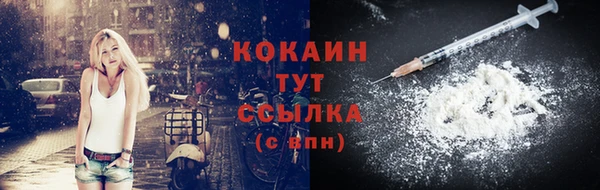 дурь Бронницы