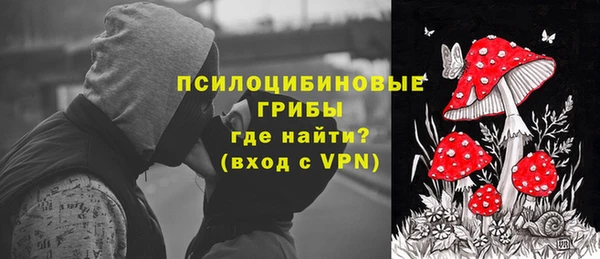 дурь Бородино