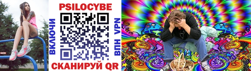 Псилоцибиновые грибы мухоморы как найти закладки kraken маркетплейс Елизаветинская